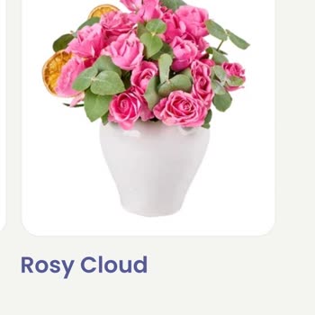 Hatalı Çiçek Gönderimi Ve İade Talebi