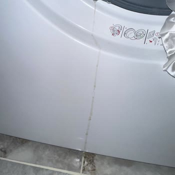 Arçelik Çamaşır Makinesinde Kahverengi Lekeler Ve Yetersiz Servis