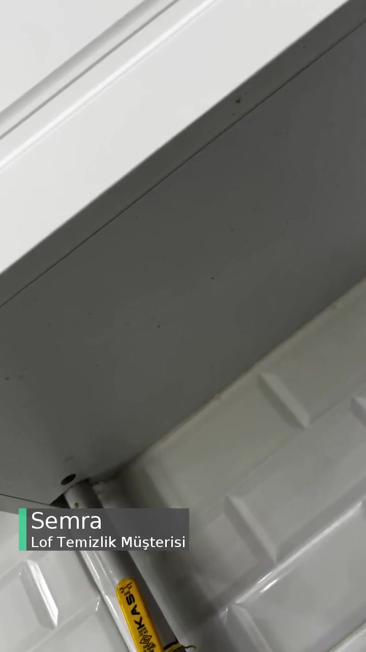 Lof Temizlik'in Yaptığı Temizlik! videonun kapak resmi