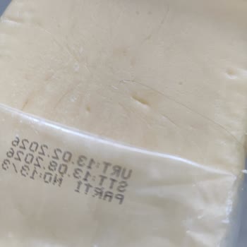 Atatürk Orman Çiftliği Kaşarında Kıl Şoku