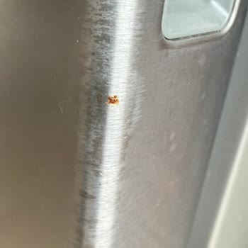 Electrolux Buzdolabında Alt Kapak Paslanması Ve Ücretsiz Parça Değişimi Reddi