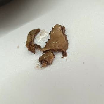 Afyon Gurme Kavurma Hayal Kırıklığına Uğrattı!