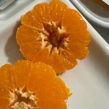 Medicana Sağlık Grubu Gereksiz Uzun Hastanede Kalış, Endoskopi Gecikmesi ve Ticari Öncelik