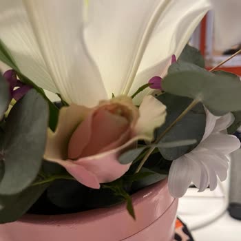 Sipariş Edilen Kutu Çiçeğinde Solmuş Ve Sararmış Çiçekler Geldi