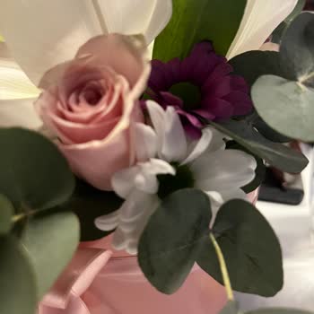 Sipariş Edilen Kutu Çiçeğinde Solmuş Ve Sararmış Çiçekler Geldi