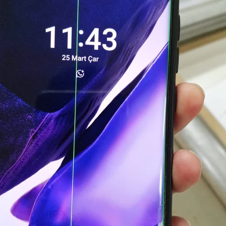 Ekranda Yeşil Çizgi, Kullanıcı Hatası İddiası Ve Ücretsiz Onarım Talebi