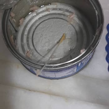 Superfresh Kılçıklı Ton Balığı Hastalık Riski Ve İade Talebi