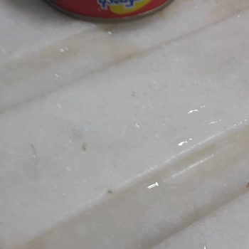 Superfresh Kılçıklı Ton Balığı Hastalık Riski Ve İade Talebi