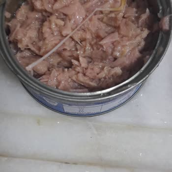 Superfresh Kılçıklı Ton Balığı Hastalık Riski Ve İade Talebi