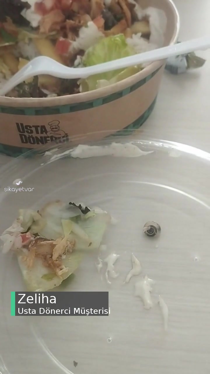 Usta Dönerci Yemeğimden Salyangoz Çıktı videonun kapak resmi