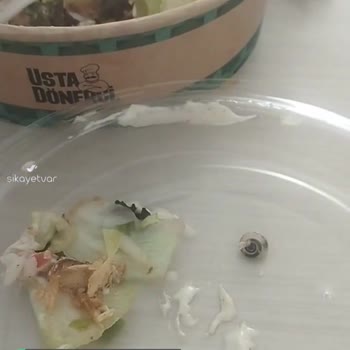 Usta Dönerci Yemeğimden Salyangoz Çıktı
