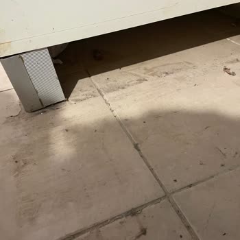 Eksik Ve Özensiz Temizlik Sonrası 6.000 TL Ücret Ve Banyodaki Hasar İçin İade Talebi