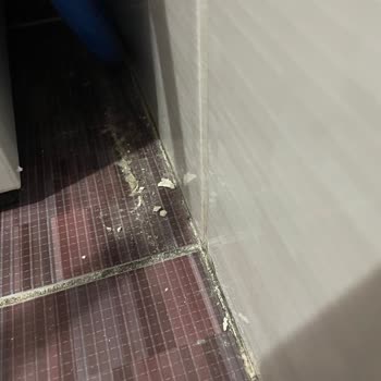 Eksik Ve Özensiz Temizlik Sonrası 6.000 TL Ücret Ve Banyodaki Hasar İçin İade Talebi