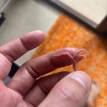 Dimes Markasında Hijyen Sorunu: Meyve Suyu İçinde Peçete Bulundu