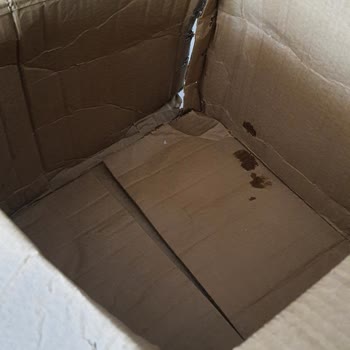 Patlamış Kargo, Çürük Tulum Ve Yetersiz Müşteri Desteği