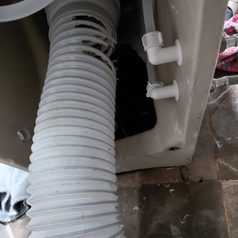 Kanalizasyon Sorunu ve Lağım Faresi Şikayeti