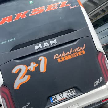 Lüks Aksel Seyahat’te Kedimin Bagajda Taşınması Hayvan Güvenliğini Tehlikeye Attı