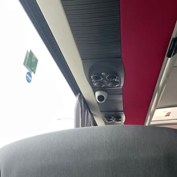 Lüks Aksel Seyahat’te Kedimin Bagajda Taşınması Hayvan Güvenliğini Tehlikeye Attı