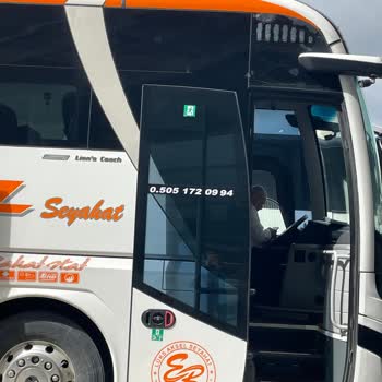 Lüks Aksel Seyahat’te Kedimin Bagajda Taşınması Hayvan Güvenliğini Tehlikeye Attı