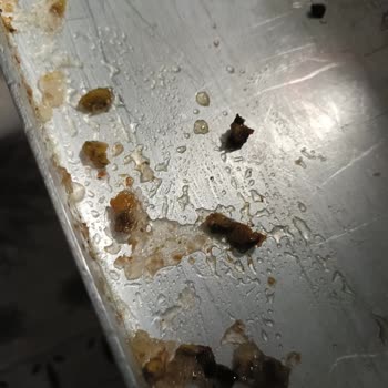 Antalya Otogar Hakan Usta Baklavasında Şekerlenmiş Ürün Ve Tazelik Sorunu