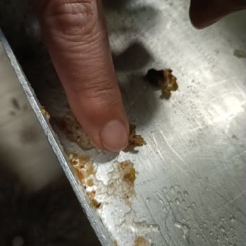 Antalya Otogar Hakan Usta Baklavasında Şekerlenmiş Ürün Ve Tazelik Sorunu