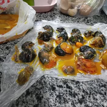 Arızalı Nem Göstergesi Ve Cevapsız Destek Hattı Garanti Kuluçka Makinesinde 82 Yumurta Ziyan