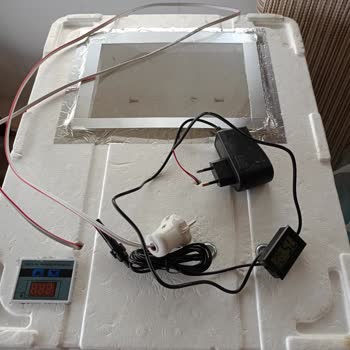 Kuluçka Makinesi Arızası Ve 82 Yumurtanın Ziyan Olması