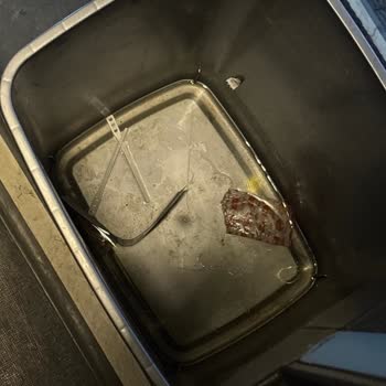 Efe Tur Otobüsünde Kötü Koku, Kirli Ortam Ve Gecikme