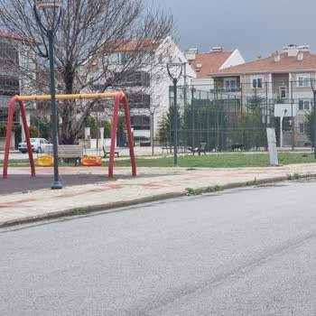 Karaman’da K********** Ve Çeltek Mahallerinde Başıboş Köpekler Güvenliğimizi Tehdit Ediyor