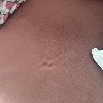 Garanti Yanıltması Ve Çöken Koltuk Takımına Çözüm Talebi