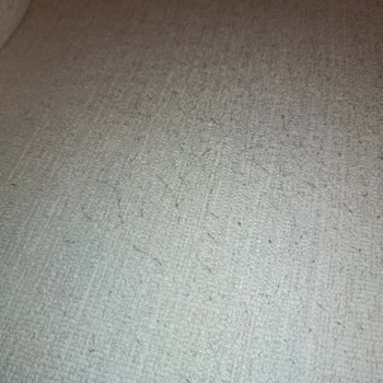 Mitra Koltuk Takımında Erken Renk Deformasyonu Ve Yoğun Tüylenme, Kaba Müşteri Hizmeti