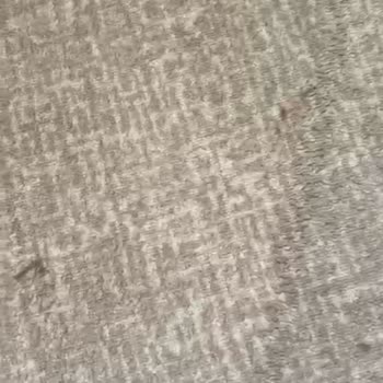 Dyson Cinetic Big Ball Süpürge Çekim Sorunu Ve Çözülmeyen Servis Sonrası İade Talebi