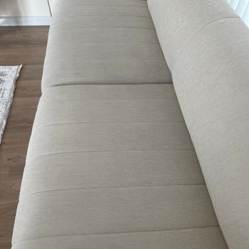 Bellona Oturma Grubu Kalitesiz Tüylenme Ve Çökme