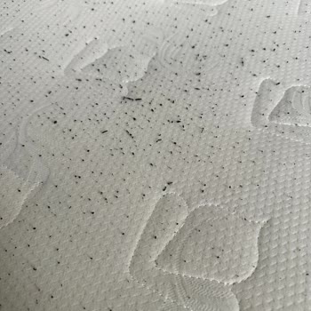 Kısa Sürede Tüylenme Ve Görsel Farklılık Nedeniyle Yatak Değişimi Talebi