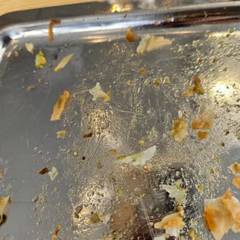 Katmerde Beyaz Kil Benzeri Madde, Hijyen Sorunu Ve Özürsüz Tutum