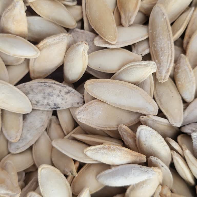 Küflü Kabak Çekirdeği Sağlık Riski Ve Mali Kayıp