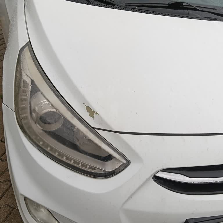Hyundai Accent Kaput Boya Kalkanı Garanti Kapsamında İncelensin