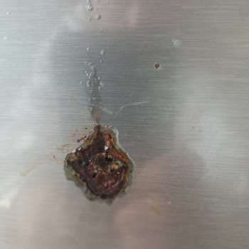 Arçelik Bulaşık Makinesi Kapak Çürümesi Ve İç Sızıntı Şikayeti