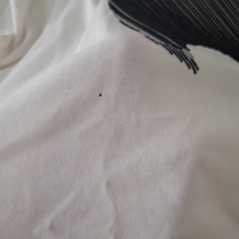 Bosch Çamaşır Makinesinin Kıyafet Delme Sorunu Ve Garanti Sürecindeki Oyalama