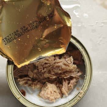 Dardanel Ekonomik Ton Balığında Parazit Görüldü