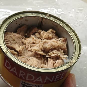 Dardanel Ekonomik Ton Balığında Parazit Görüldü