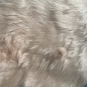 Beklenen Renk Ve Kaliteye Uymayan Vivense Halısı