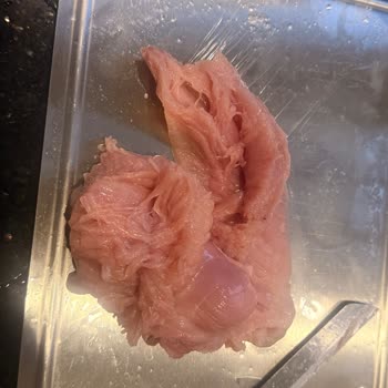 Gedik Piliç Ürününün Son Kullanma Tarihi Geçmemiş Olmasına Rağmen Doku Bozukluğu