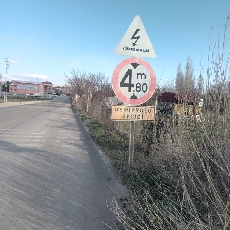 Kırıkkale Başpınar’da Saldırgan Sokak Köpekleri Okul Yolunu Tehdit Ediyor