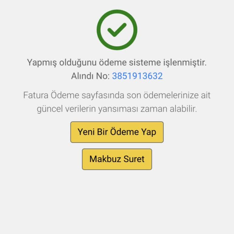 İSKİ Faturalarım Ödenmiş Olarak Güncellenmeli Ve Haksız Ceza İptali