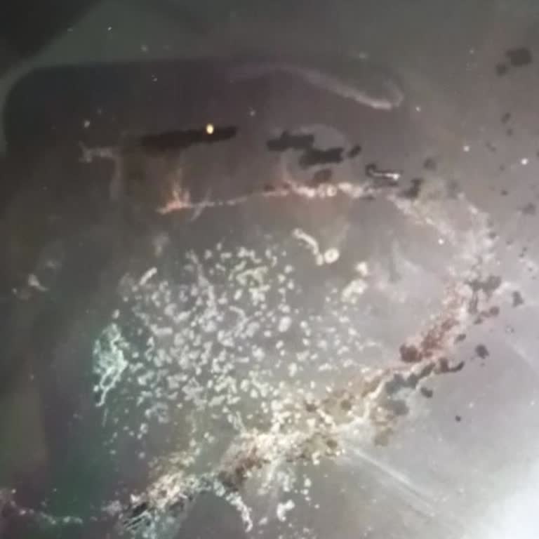 Garanti Kapsamındaki Beko Fırın Emaye Çatlaması İçin Ücretsiz Onarım İsteği