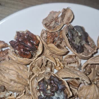 Koop Market Küflü Ve Kurtlu Cevizler!