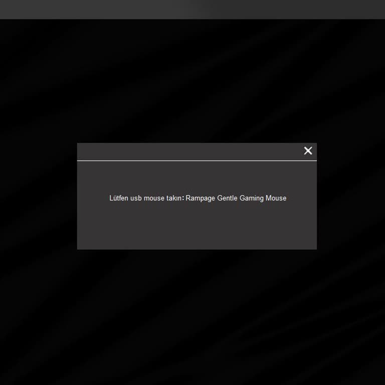 Rampage SMX-R85'te Yazılım Çalışmıyor Ve USB Algılamıyor