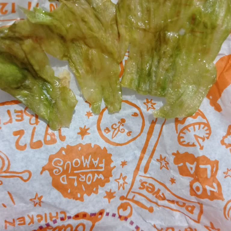 Bir Saatlik Gecikme, Çürük Malzemeler Ve Eksik Ürünlerle Popeyes Siparişi