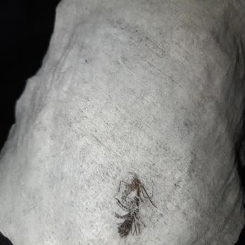 Yabancı Madde İçeren Bebek Mendil Paketi Güvenimi Sarsıyor